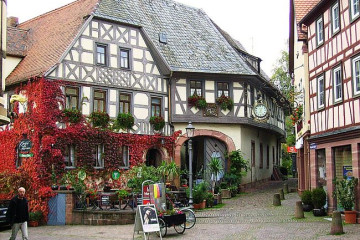 15 Lohr-Main